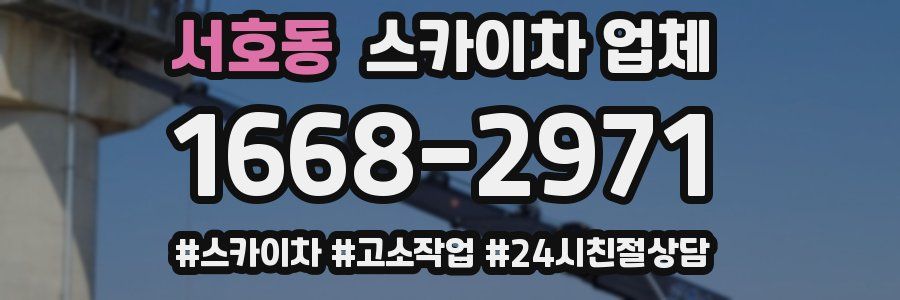 서호동 스카이차 업체