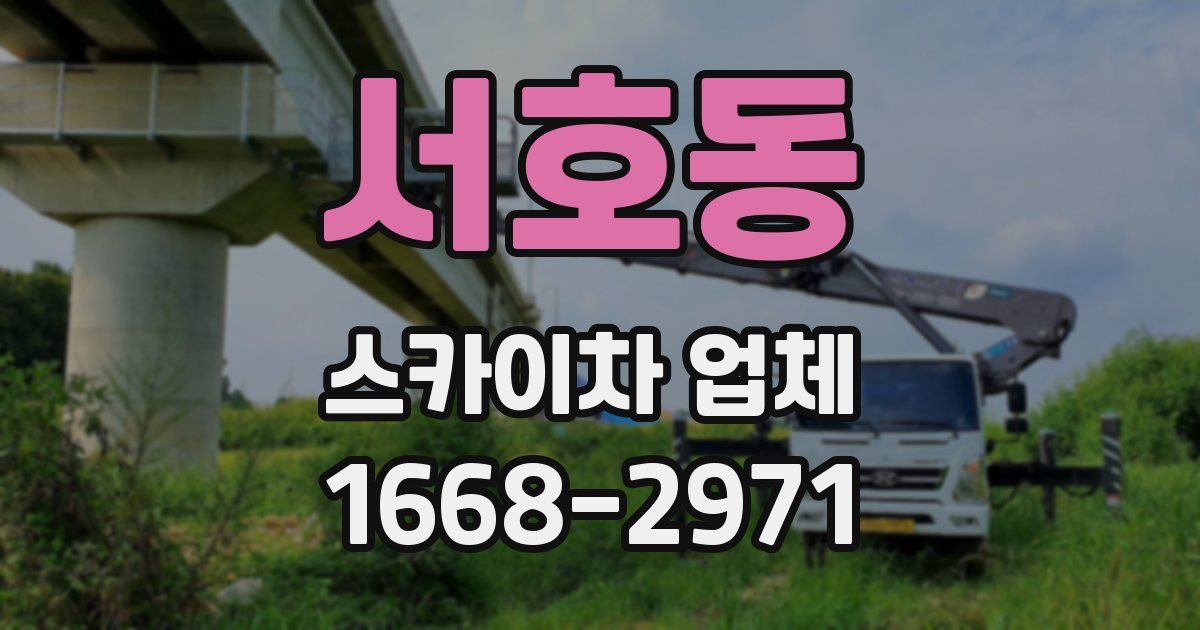 서호동 스카이차 업체