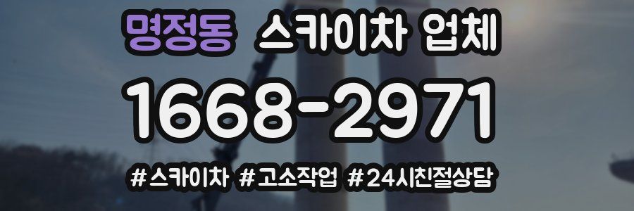 명정동 스카이차 업체