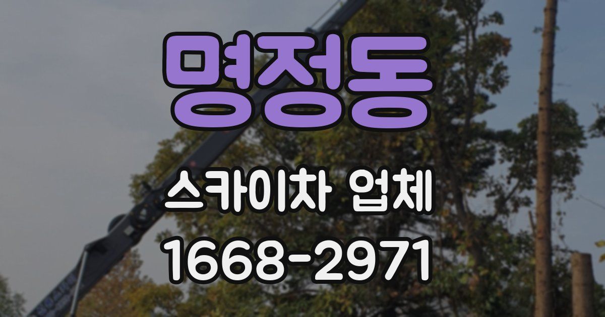 명정동 스카이차 업체