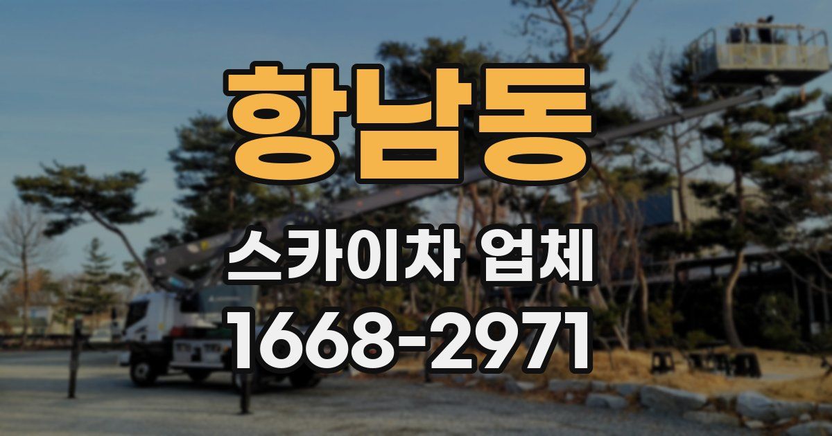 항남동 스카이차 업체
