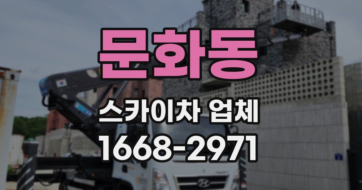 문화동 스카이차 업체