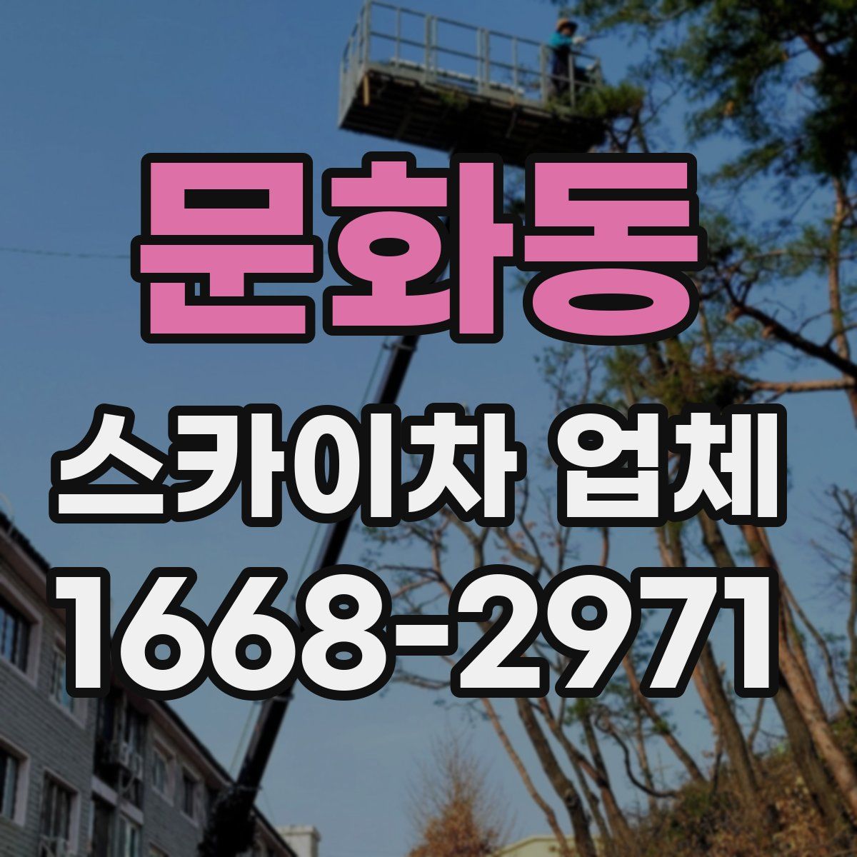 문화동 스카이차 업체