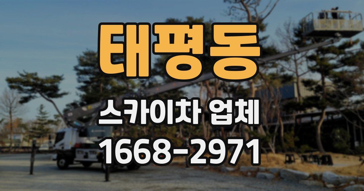 태평동 스카이차 업체