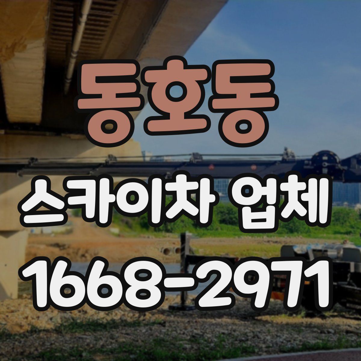동호동 스카이차 업체