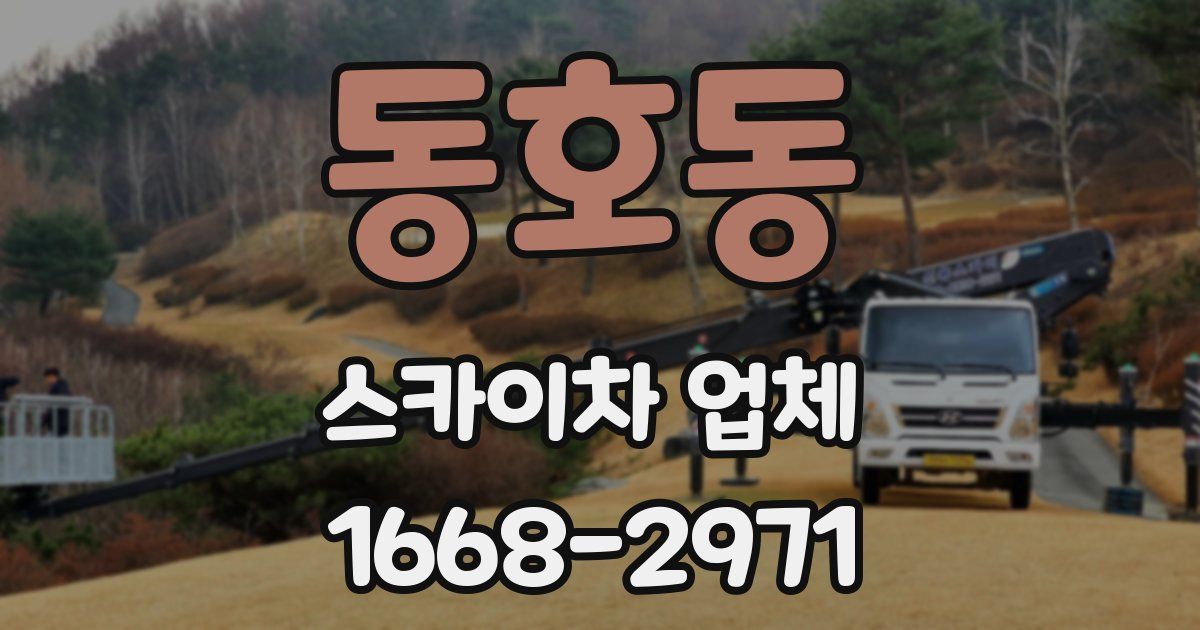 동호동 스카이차 업체