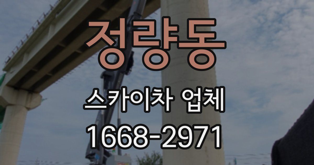 정량동 스카이차 업체