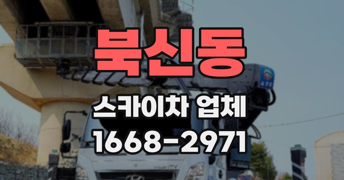 북신동 스카이차 업체