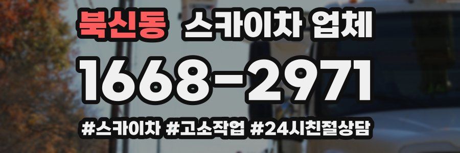 북신동 스카이차 업체