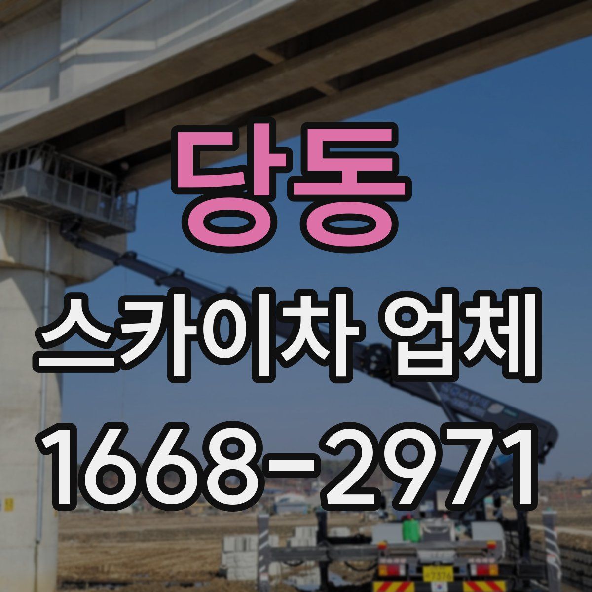 당동 스카이차 업체
