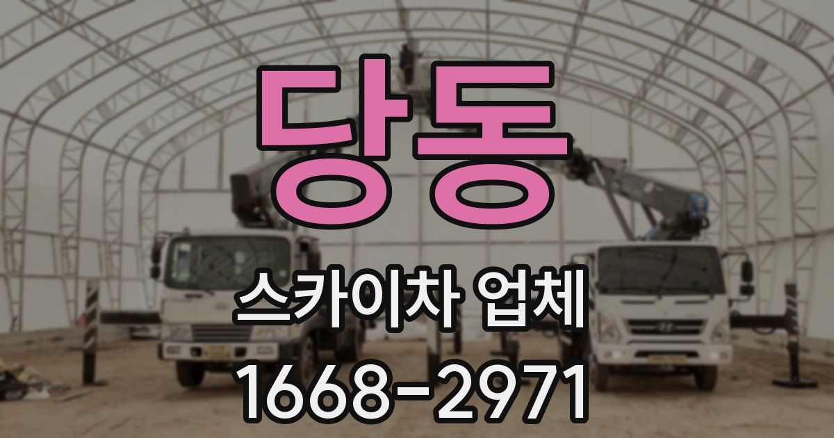 당동 스카이차 업체