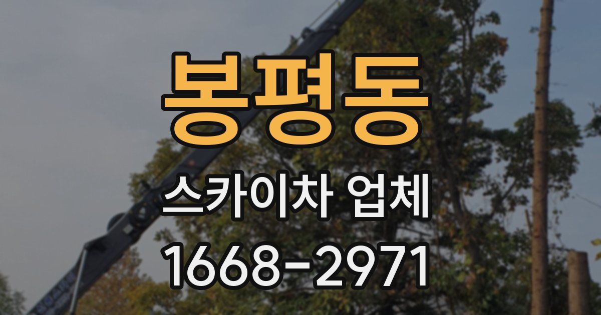 봉평동 스카이차 업체