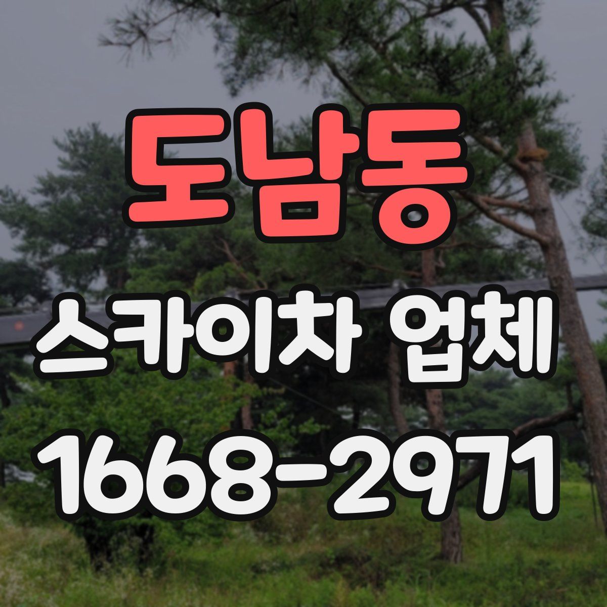 도남동 스카이차 업체
