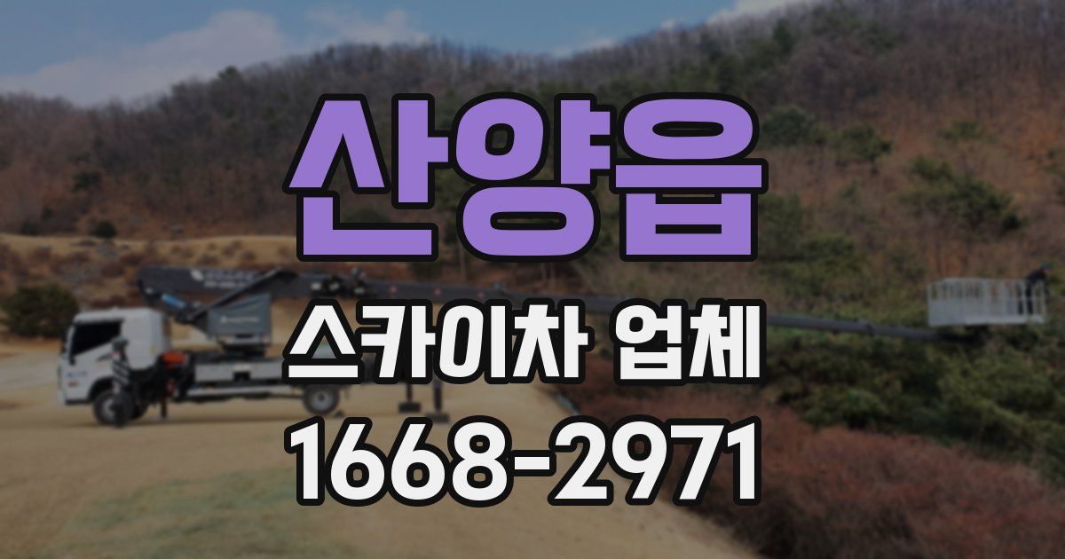 산양읍 스카이차 업체