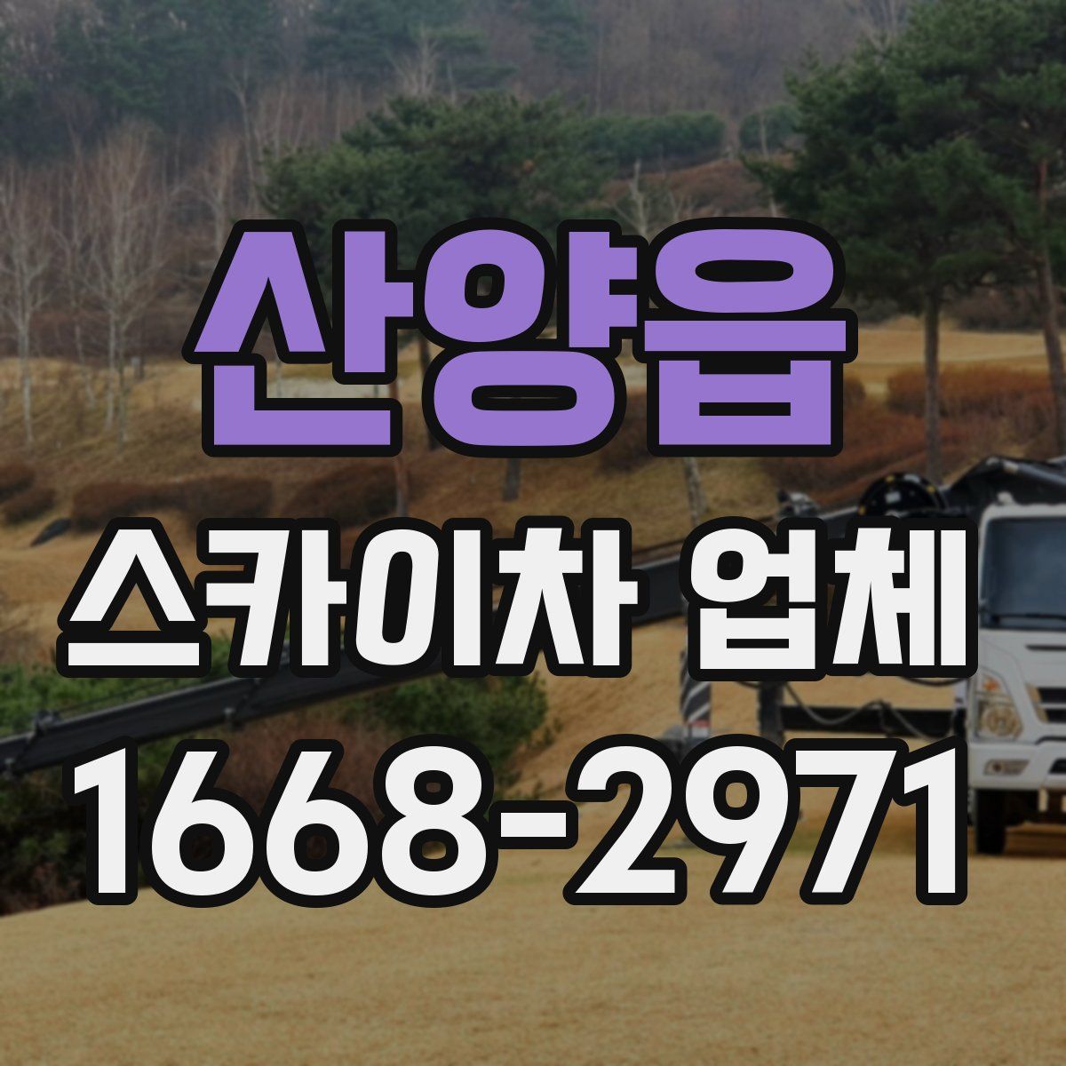 산양읍 스카이차 업체