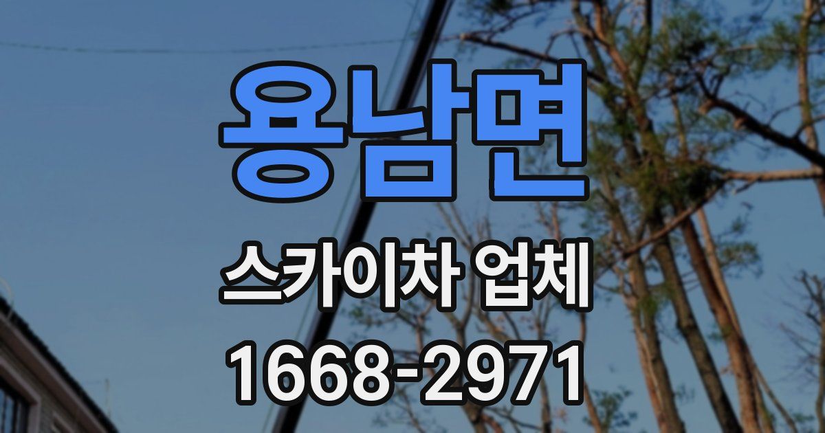 용남면 스카이차 업체
