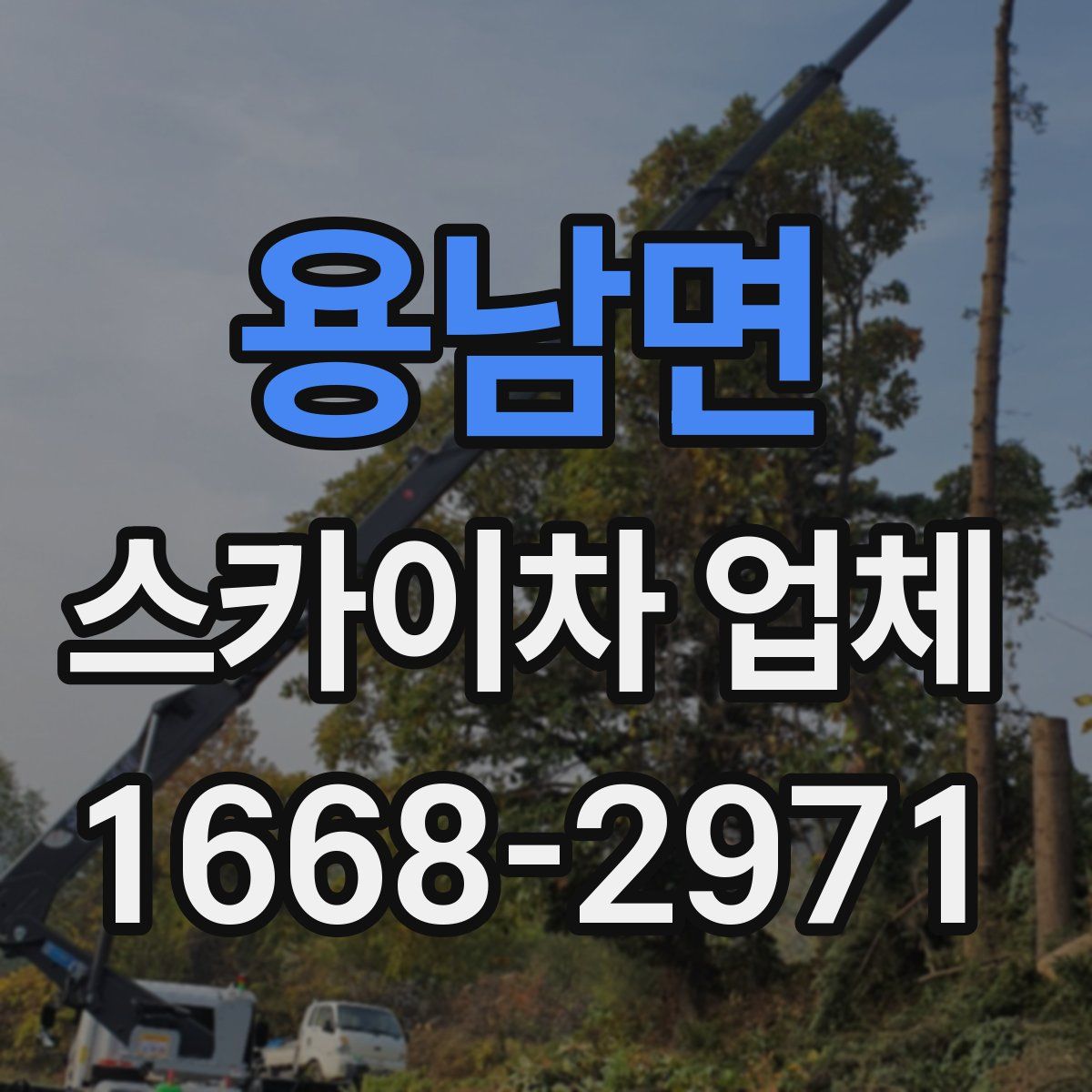 용남면 스카이차 업체