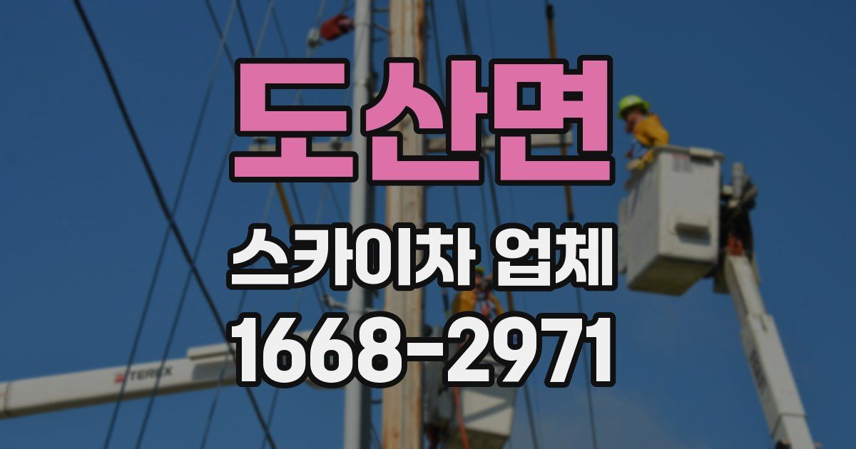 도산면 스카이차 업체