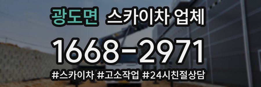 광도면 스카이차 업체