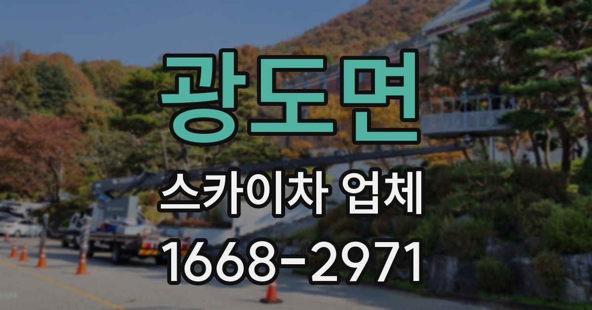 광도면 스카이차 업체