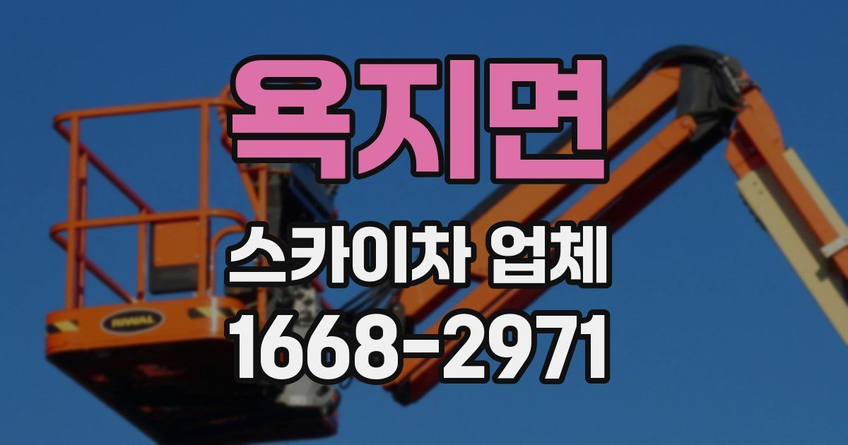 욕지면 스카이차 업체