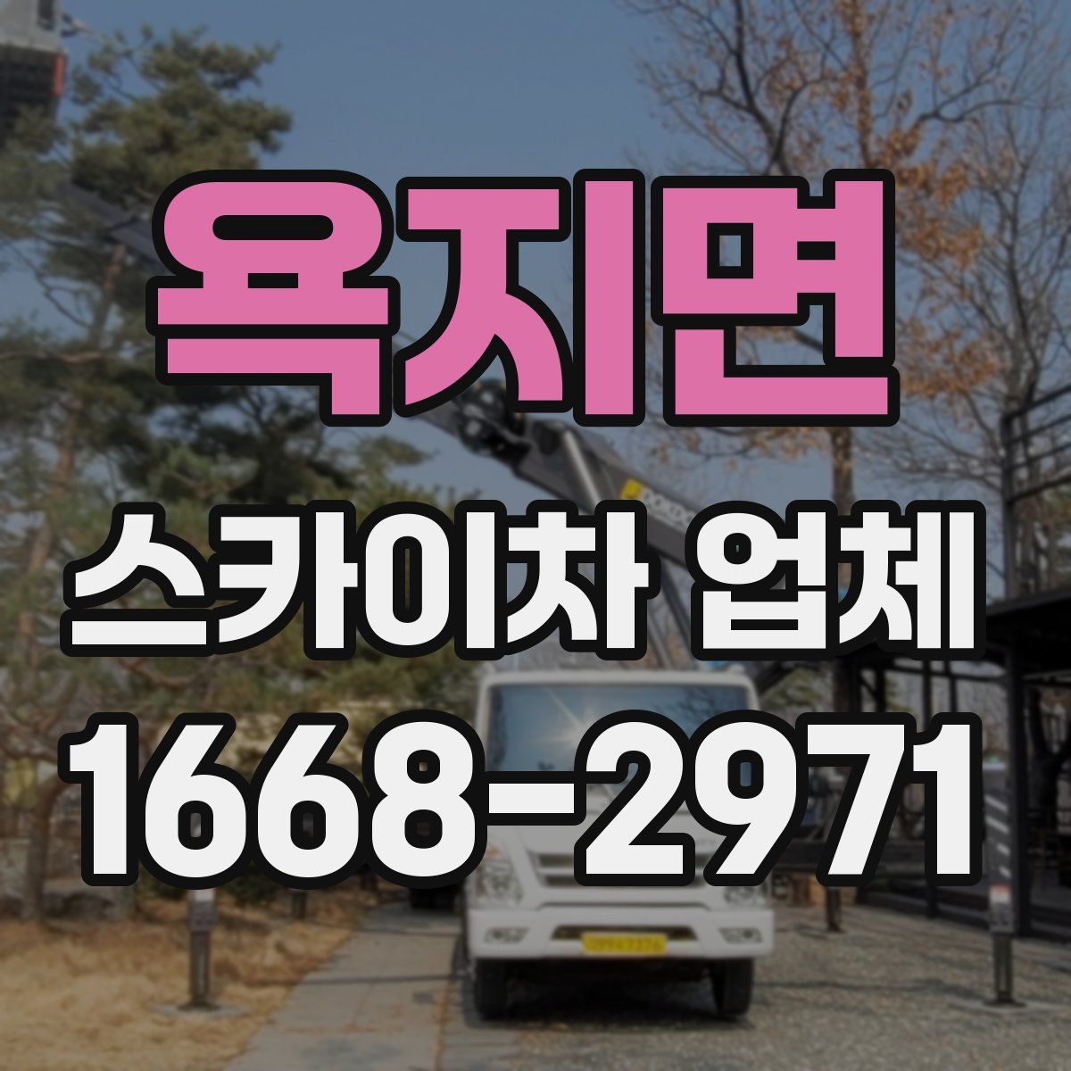 욕지면 스카이차 업체