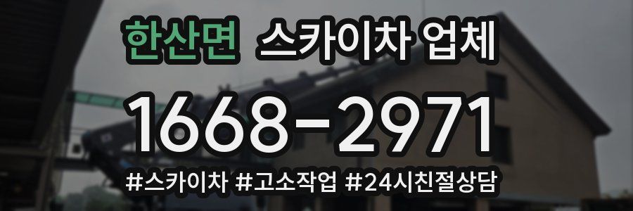 한산면 스카이차 업체