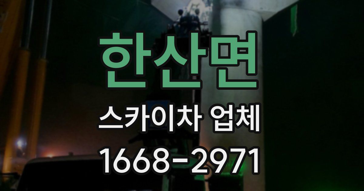 한산면 스카이차 업체
