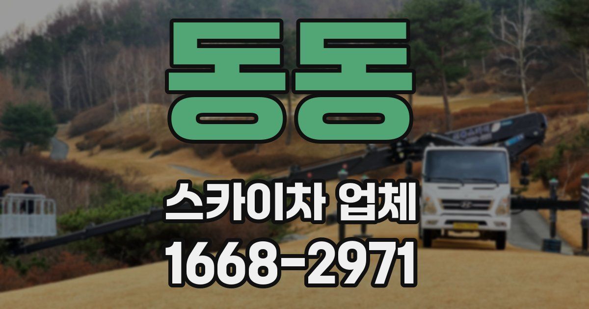 동동 스카이차 업체