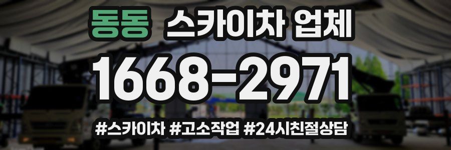 동동 스카이차 업체