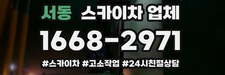 서동 스카이차 업체