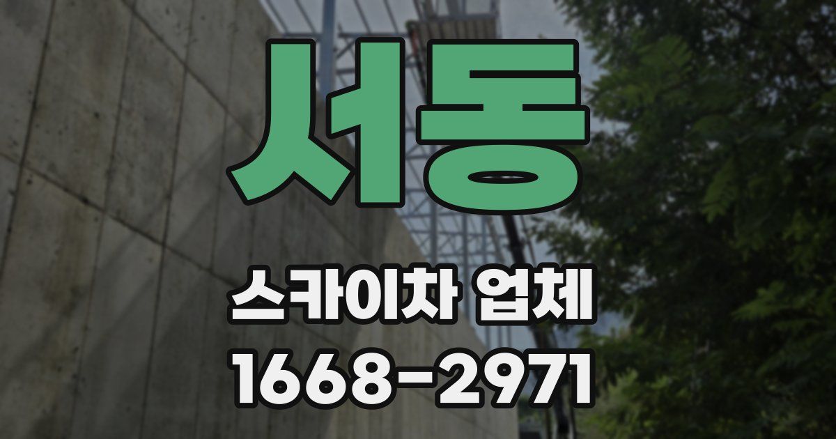서동 스카이차 업체