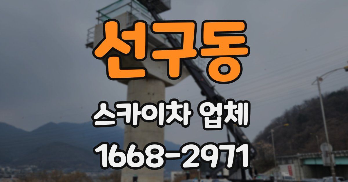선구동 스카이차 업체