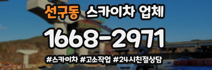 선구동 스카이차 업체