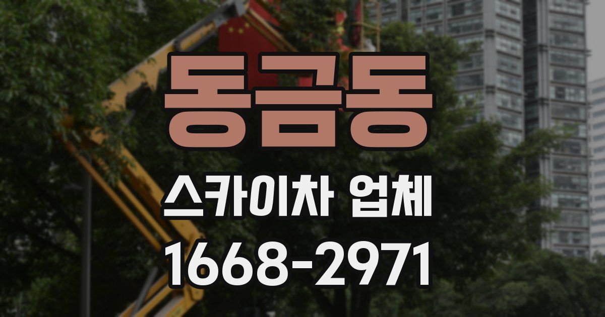 동금동 스카이차 업체