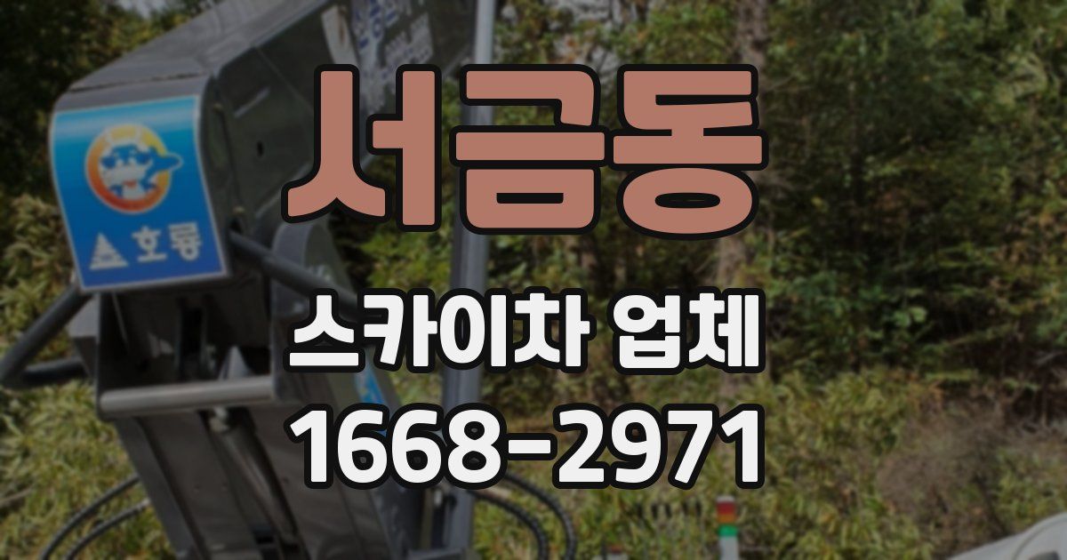 서금동 스카이차 업체