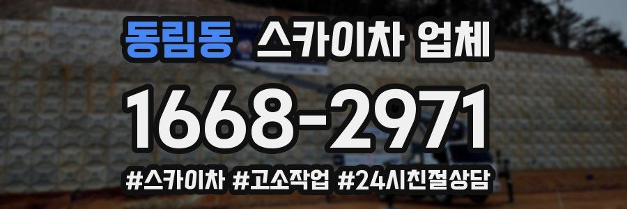 동림동 스카이차 업체
