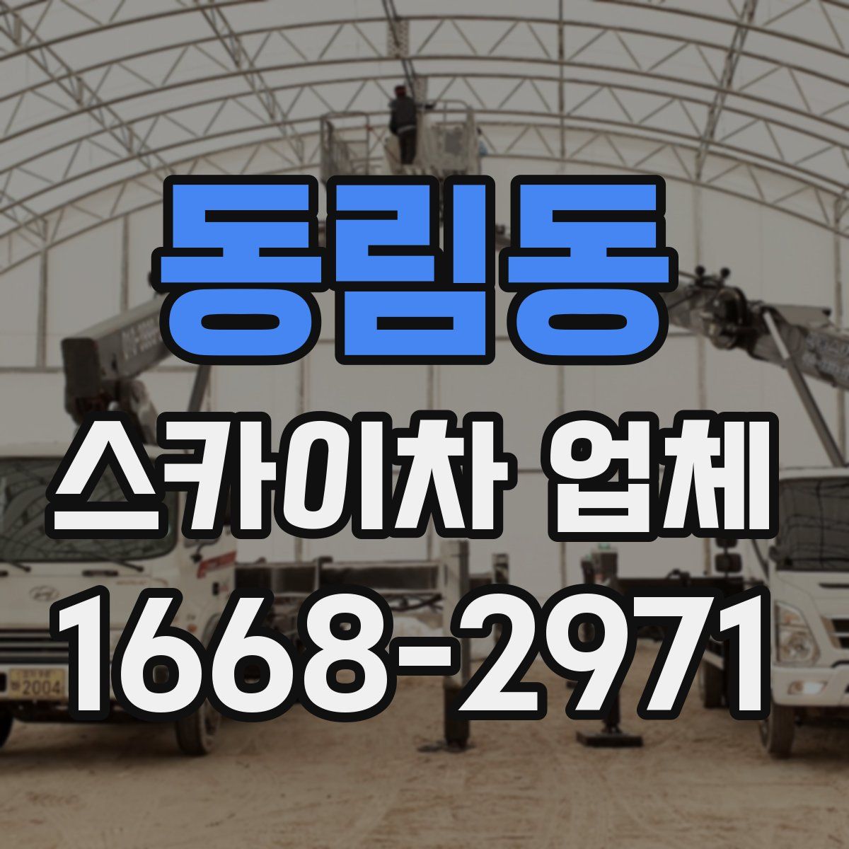 동림동 스카이차 업체