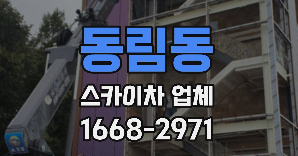 동림동 스카이차 업체
