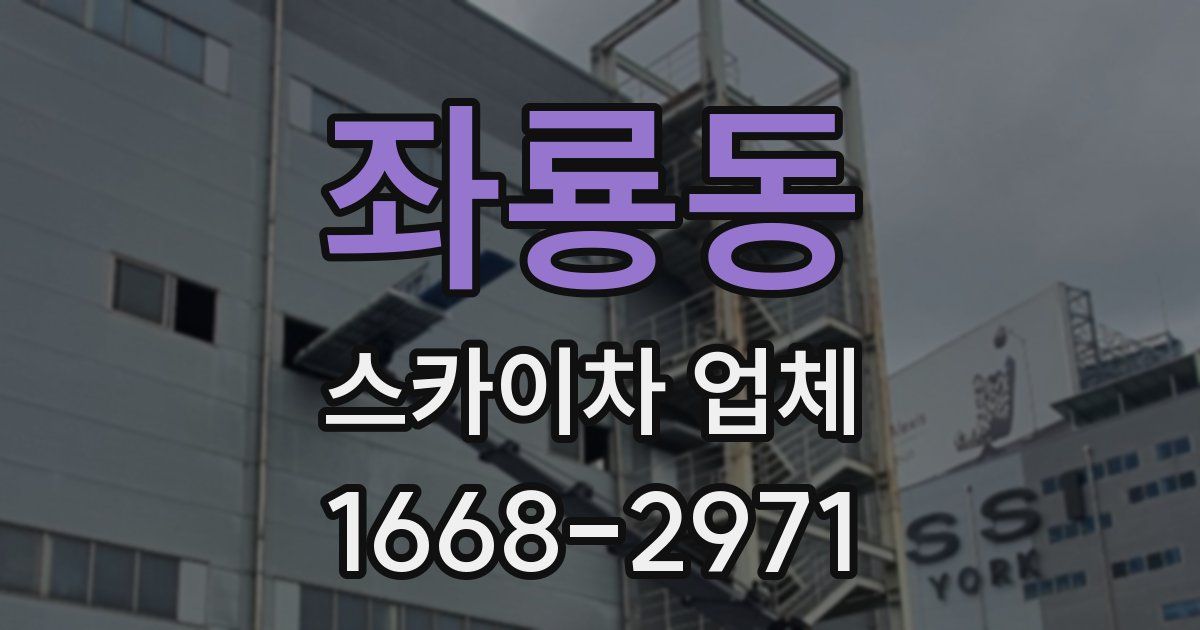 좌룡동 스카이차 업체