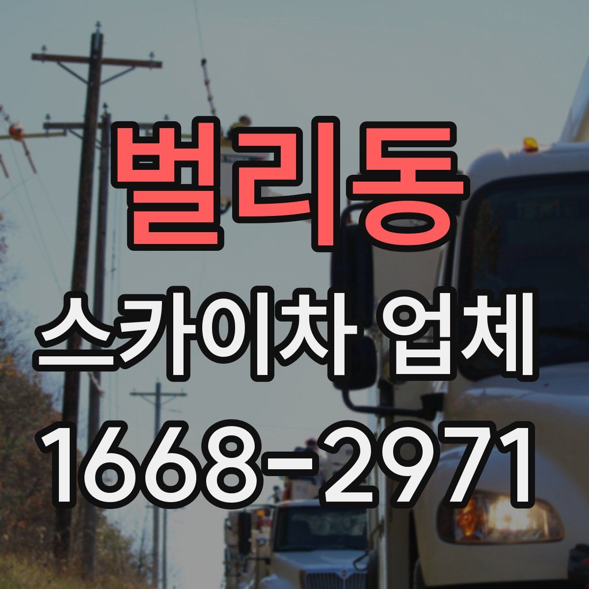 벌리동 스카이차 업체