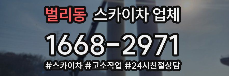 벌리동 스카이차 업체