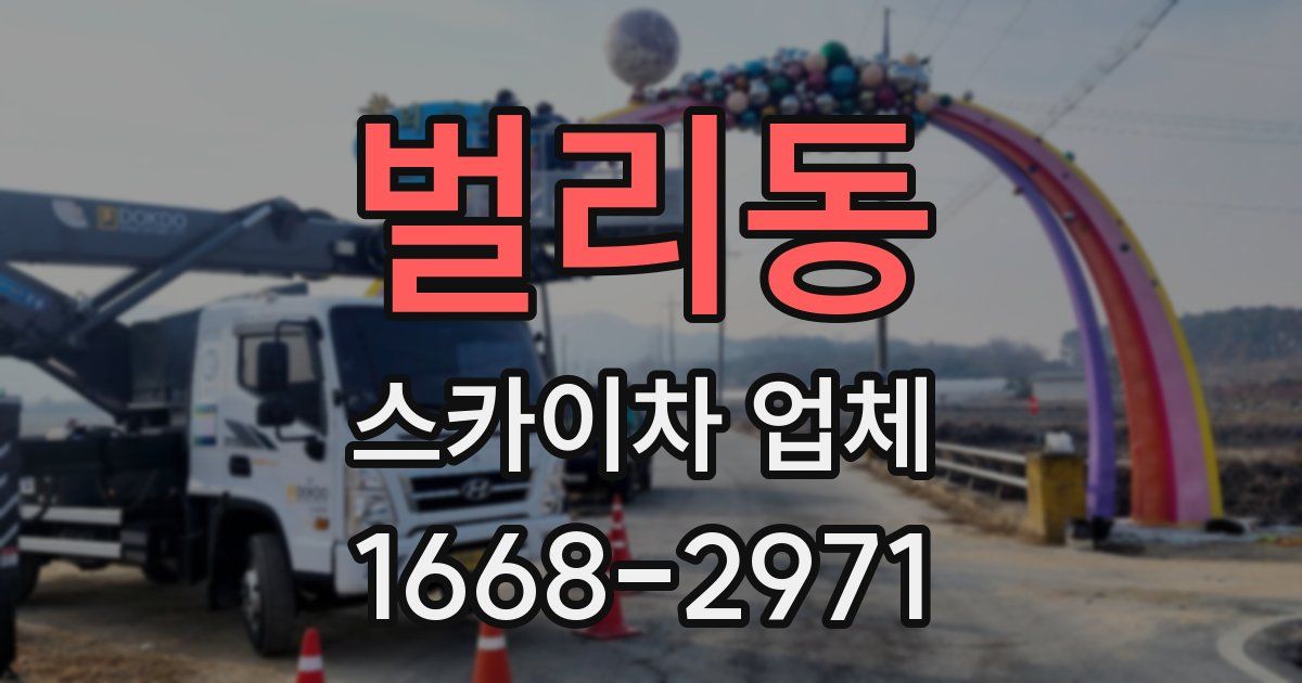 벌리동 스카이차 업체