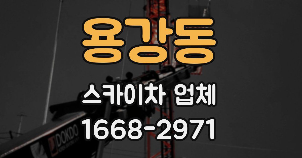 용강동 스카이차 업체