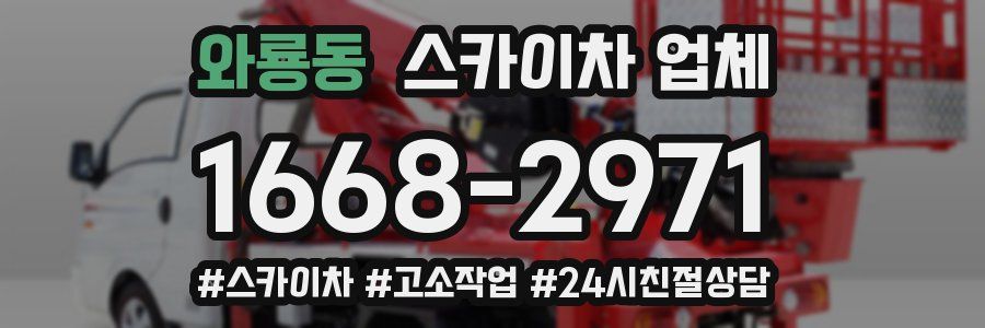 와룡동 스카이차 업체
