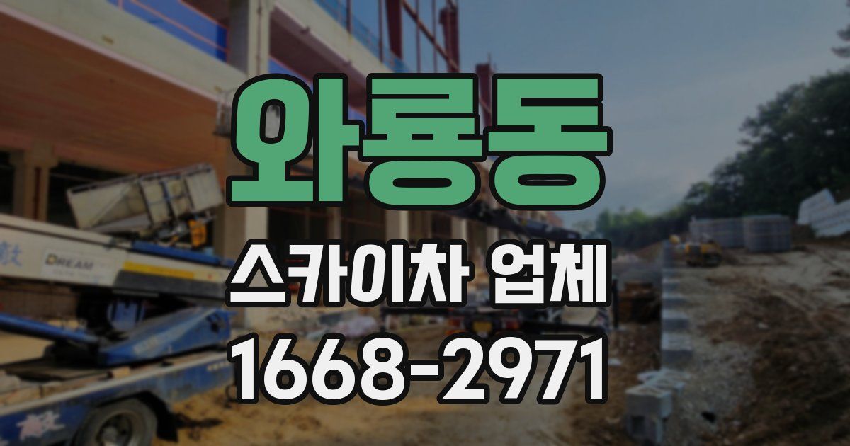 와룡동 스카이차 업체