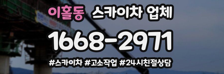 이홀동 스카이차 업체
