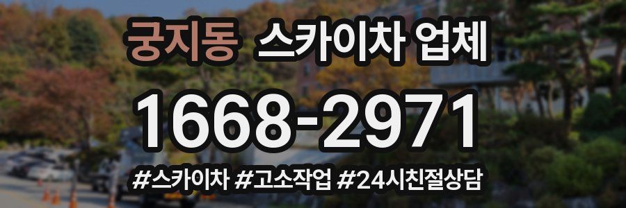 궁지동 스카이차 업체