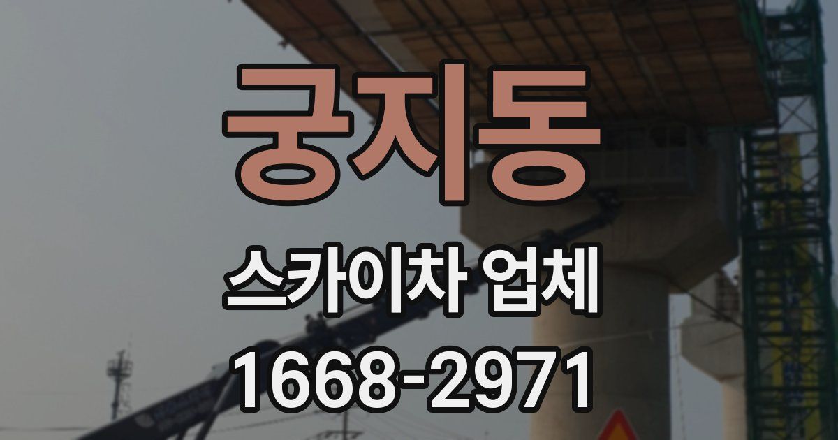 궁지동 스카이차 업체