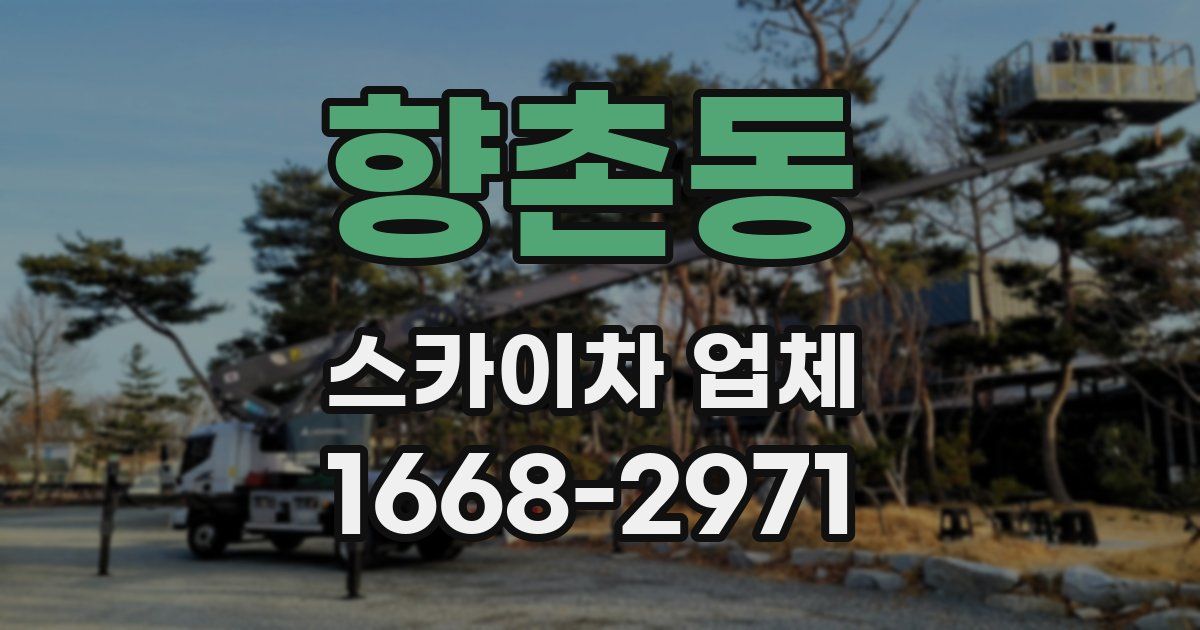 향촌동 스카이차 업체